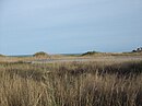 Estuario del Río Guadiaro