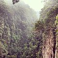 Lamington National Park Bushwalking