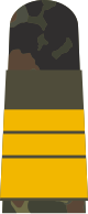 80px-MA_OG5_63_Vizeadmiral.svg.png