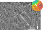 Vignette pour Medusae Fossae