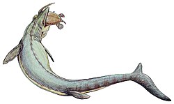 250px Mosasaurus 21copy モササウルス、実際は俊敏に泳いでいた！