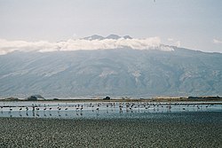 Језеро Натрон са погледом на вулкан Гелаи