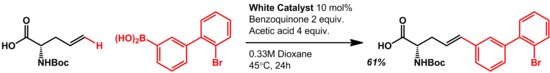 Oxidative Heck Reaction Scheme