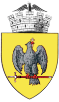 Wappen von Curtea de Argeș