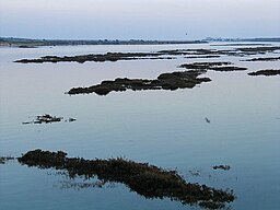 Quinta do Lago i Ria Formosalagunen