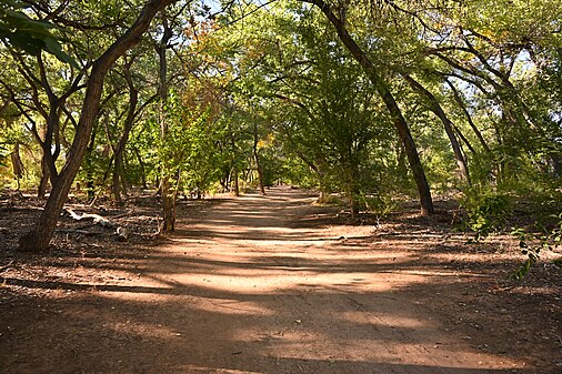 Rio Grande River Trail in Rio Grande Valley State Park, Albuquerque, NM