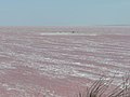 由於杜氏鹽藻微藻，錫瓦什湖的顏色偏紅。