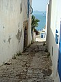 Ozka uličica s pogledom na Tuniški zaliv