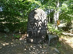 Image illustrative de l’article Statue-menhir de la Monjarié