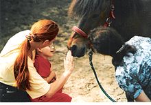 Deux adultes et un enfant assis devant un poney