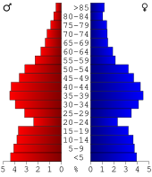 Bevolkingspiramide Dallas County