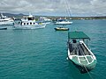 Image 9Water taxi in Puerto Ayora (2011) (from Galápagos Islands)