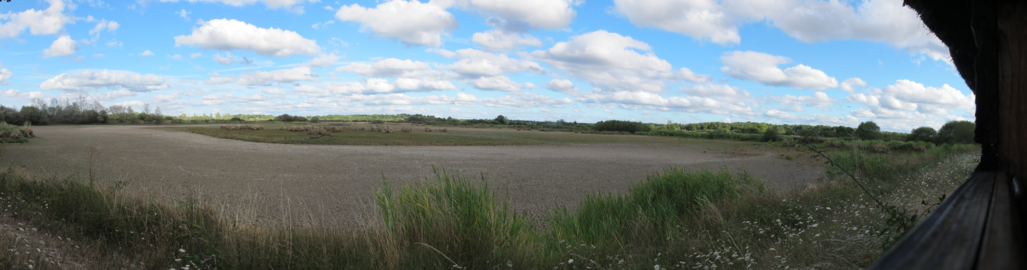 L'étang des Essarts en assec en 2017.