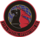 319th Special Operations Squadron.png