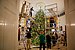 Команда волонтеров украшает официальную рождественскую елку Белого дома в Голубой комнате Белого дома. Jpg