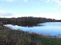 L'étang de Champroy vu depuis sa rive sud-ouest.