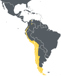Приблизний ареал андійського кондора (жовтий)