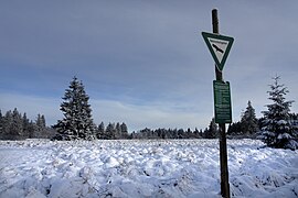 Das Rebbes im Naturschutzgebiet Meißner