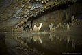 Image 25Barton Creek Cave (from Tourism in Belize)