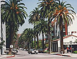 Beverly Hills.jpg