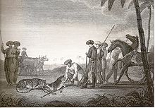 Mughal aristocrats hunting a blackbuck alongside an Asiatic cheetah, 1812 CheetahHunt.jpg