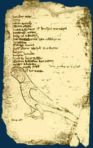 page from Codex Cumanicus