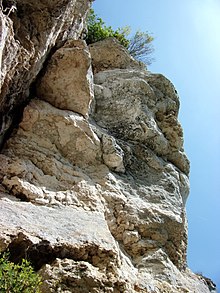 Photographie en couleurs d'une falaise rocheuse partiellement masquée par des arbres.