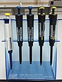 Different volumes of micropipettes.