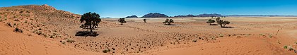 Paisagem desértica perto da Duna de Elim, Sossusvlei, Namíbia. A Duna de Elim é uma duna alta e relativamente isolada localizada a 5 km após o portão de Sesriem, em um ramal da estrada principal que liga Sesriem a Sossusvlei. A duna leva o nome de uma fazenda que existia na área antes da criação do Parque Nacional Namib-Naukluft. (definição 23 392 × 4 345)