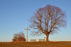 41. Platz: Olga Ernst mit Wasserschutzgebiet ′′Tann′′ Nr. 417224, Naturraum ′′Hohe Schwabenalb′′ Nr.93, Landschaftsschutzgebiet ′′Großer Heuberg′′ Nr. 4.17.042, FFH-Gebiet ′′Östlicher Großer Heuberg′′ Nr. 7819341, Vogelschutzgebiet ′′Südwestalb und Oberes Donautal′′ Nr. 7820441, Naturpark ′′Obere Donau′′ Nr. 4