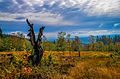 Herbst nahe der Nordhelle