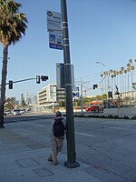 Flower & Adams Silver Line Stop 1.JPG