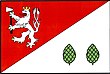 Vlag