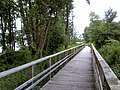 Uferwanderweg in Hemmelsdorf