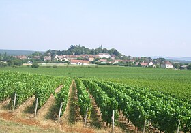 Vue d'une partie du village