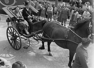 Locoburgemeester Leen Riedijk, van de gemeente Nieuw-Helvoet, rijdt met de koningin in een tilbury door het dorp. Via de Westdijk (buurtschap) naar het Quackjeswater waar de koningin een wandeling maakt. (14 mei 1957)