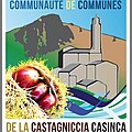 Logo de la communauté de communes de la Castagniccia-Casinca.