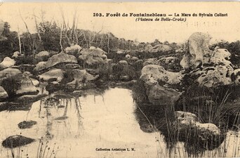 Mare du Sylvain Colinet, dans la forêt de Fontainebleau.