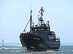 M/Y Steve Irwin på väg in mot Melbourne