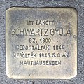 Schwartz Gyula, Martinovics tér 4/B.