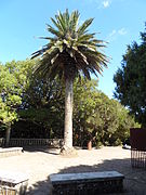 Mirador Cruz del Carmen.