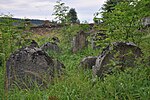 Mirotice-Jewish-cemetery2009v.jpg