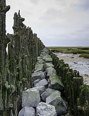 Rijsdam bij Moddergat