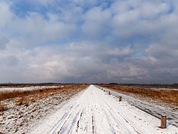 De Zanddijk bij Eelderwolde in de sneeuw (2013)