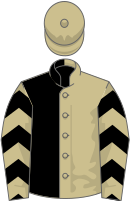 Beige and black (halved), chevrons on sleeves, beige cap