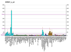 PBB GE ZNF318 203521 s at fs.png