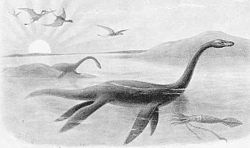 Joutsenlisko (Plesiosaurus)