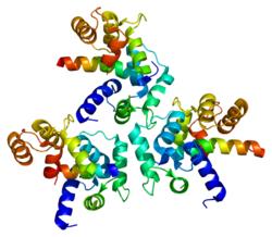 Протеин CACNA1D PDB 2be6.png