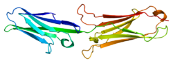 Протеин VCAM1 PDB 1ij9.png