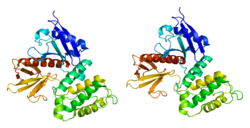 Protein VIL2 PDB 1ni2.png